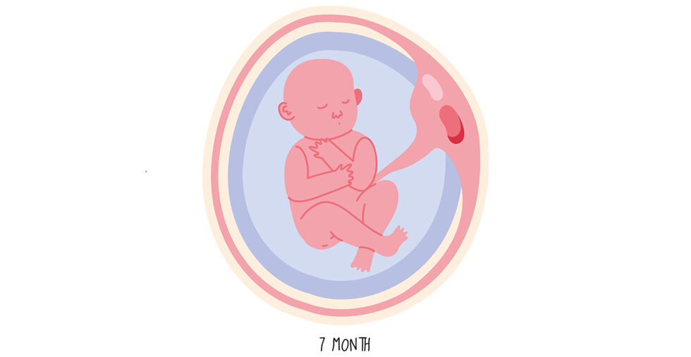 Das Kind positioniert sich in diesen Wochen meist mit dem Kopf nach unten als Geburtsposition.