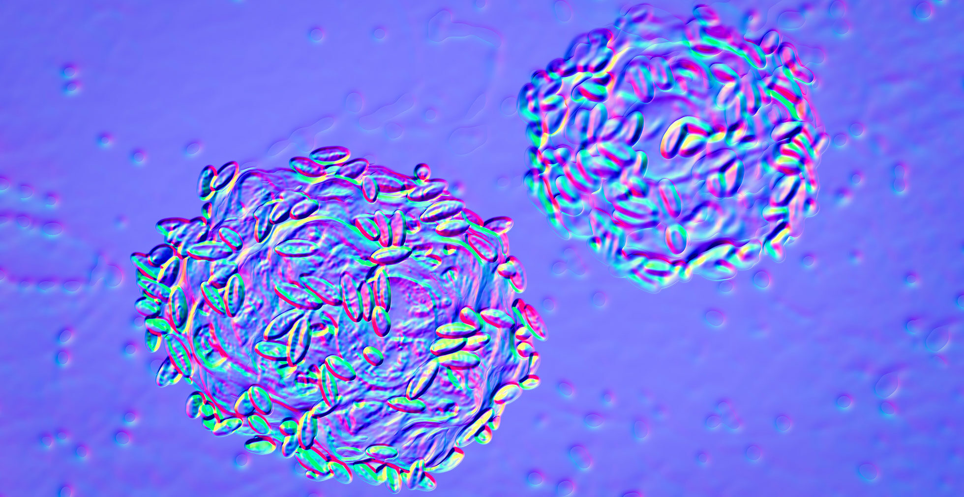 Bakterielle Vaginose