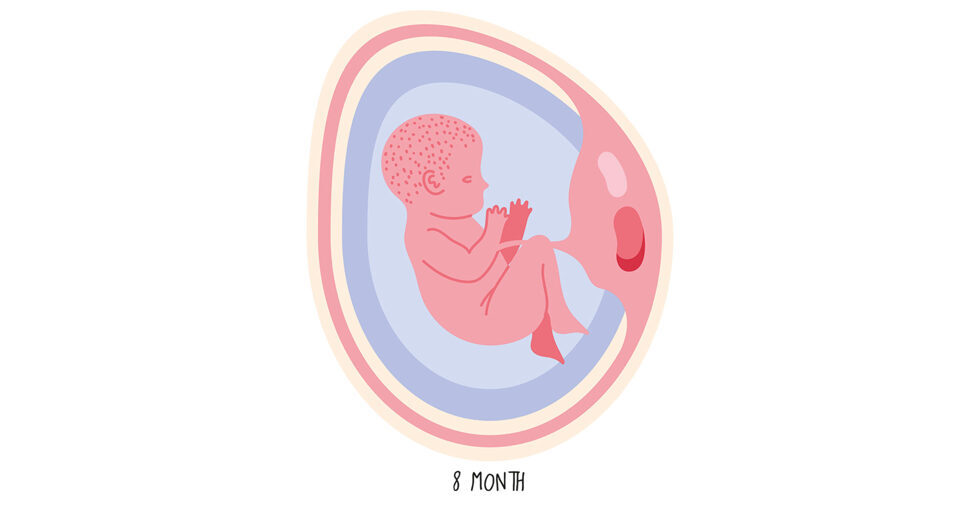 Ab der 35. Schwangerschaftswoche sind die Lungen des Kindes so weit ausgebildet, dass es im Falle einer Geburt in der Regel selbstständig atmen kann. Das Kind erreicht in der Regel ein Gewicht von 2500 g.
